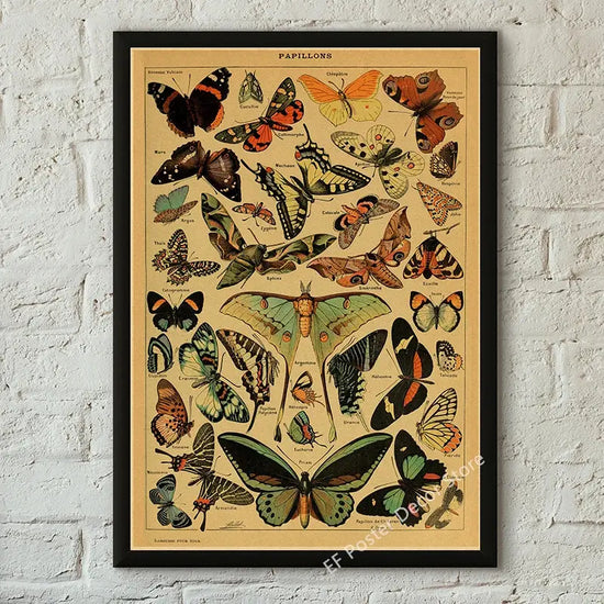 Botanical Art Prints Mushroom Retro Poster Animal/Flower/Plant/Leaf/Butterfly Study Painting Vintage Study Room Home Wall Decor June Wall Art