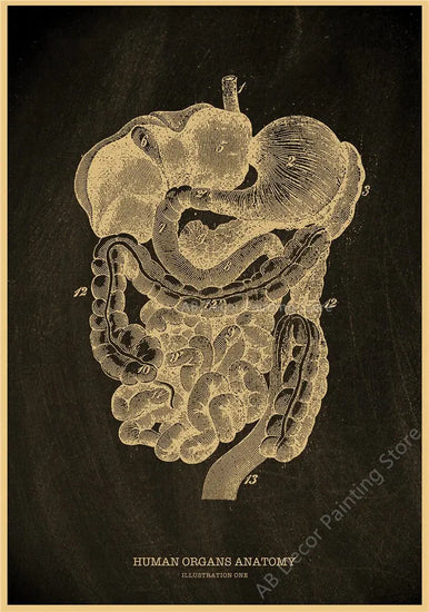 Nostalgic Posters Anatomy Chalkboard Poster Prints Body Parts Heart Hand Foot Drawing Vintage Home Room Art Wall Decor Painting June Wall Art