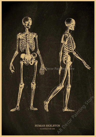 Nostalgic Posters Anatomy Chalkboard Poster Prints Body Parts Heart Hand Foot Drawing Vintage Home Room Art Wall Decor Painting June Wall Art