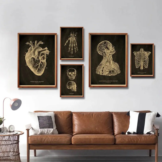 Nostalgic Posters Anatomy Chalkboard Poster Prints Body Parts Heart Hand Foot Drawing Vintage Home Room Art Wall Decor Painting June Wall Art