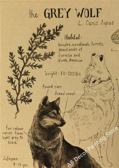 Retro Dragon//Fox/Dog/Wolf/Bird/Bear Posters Prints Nostalgic Animal Natural Study Vintage Home Room Art Wall Decor Painting June Wall Art