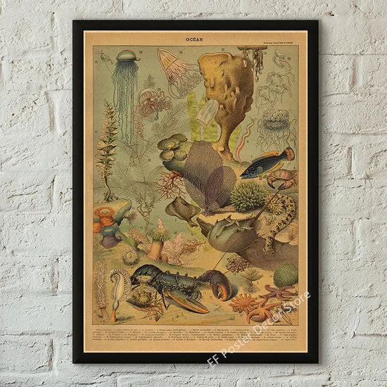 Botanical Art Prints Mushroom Retro Poster Animal/Flower/Plant/Leaf/Butterfly Study Painting Vintage Study Room Home Wall Decor June Wall Art