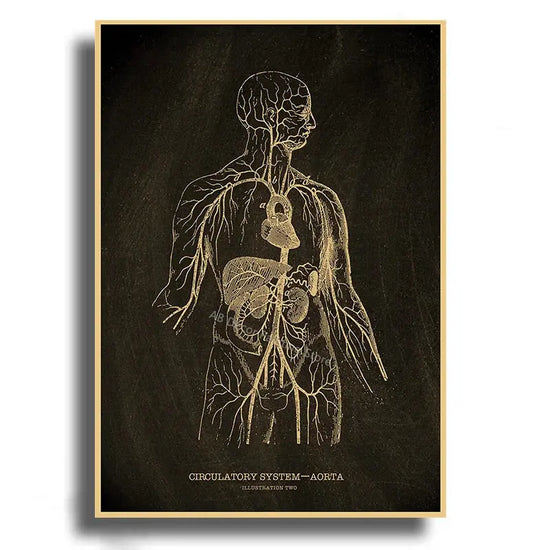 Heart/Skull/Brain Kraft Paper Poster Chalkboard Anatomical Skeleton Vintage Home Room Medicine Decor Medical Art Wall Painting June Wall Art