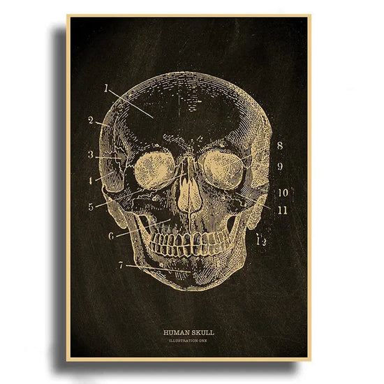 Heart/Skull/Brain Kraft Paper Poster Chalkboard Anatomical Skeleton Vintage Home Room Medicine Decor Medical Art Wall Painting June Wall Art