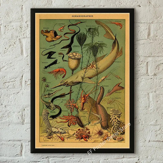 Botanical Art Prints Mushroom Retro Poster Animal/Flower/Plant/Leaf/Butterfly Study Painting Vintage Study Room Home Wall Decor June Wall Art