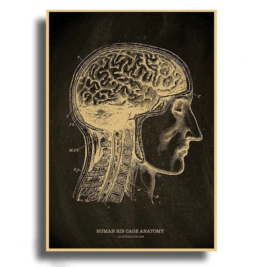 Heart/Skull/Brain Kraft Paper Poster Chalkboard Anatomical Skeleton Vintage Home Room Medicine Decor Medical Art Wall Painting June Wall Art