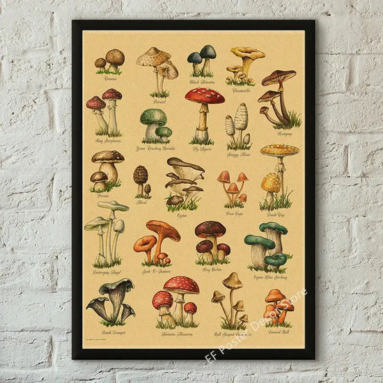 Botanical Art Prints Mushroom Retro Poster Animal/Flower/Plant/Leaf/Butterfly Study Painting Vintage Study Room Home Wall Decor June Wall Art
