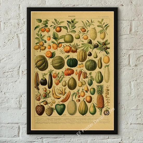 Botanical Art Prints Mushroom Retro Poster Animal/Flower/Plant/Leaf/Butterfly Study Painting Vintage Study Room Home Wall Decor June Wall Art