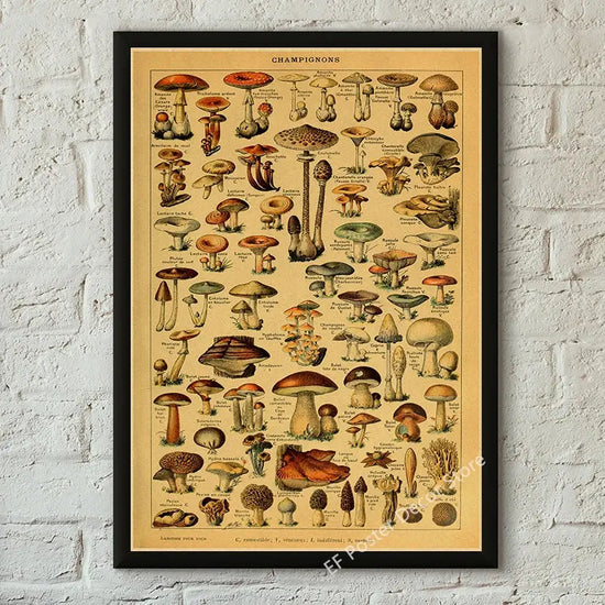 Botanical Art Prints Mushroom Retro Poster Animal/Flower/Plant/Leaf/Butterfly Study Painting Vintage Study Room Home Wall Decor June Wall Art