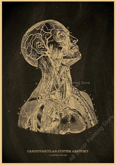 Nostalgic Posters Anatomy Chalkboard Poster Prints Body Parts Heart Hand Foot Drawing Vintage Home Room Art Wall Decor Painting June Wall Art