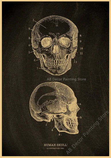 Nostalgic Posters Anatomy Chalkboard Poster Prints Body Parts Heart Hand Foot Drawing Vintage Home Room Art Wall Decor Painting June Wall Art