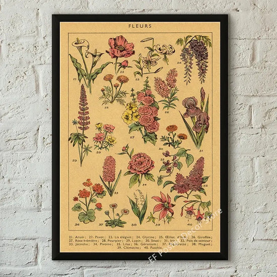Botanical Art Prints Mushroom Retro Poster Animal/Flower/Plant/Leaf/Butterfly Study Painting Vintage Study Room Home Wall Decor June Wall Art