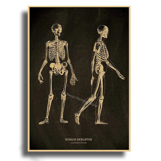 Heart/Skull/Brain Kraft Paper Poster Chalkboard Anatomical Skeleton Vintage Home Room Medicine Decor Medical Art Wall Painting June Wall Art