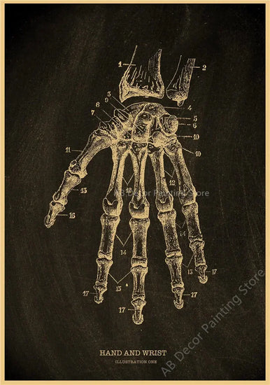 Nostalgic Posters Anatomy Chalkboard Poster Prints Body Parts Heart Hand Foot Drawing Vintage Home Room Art Wall Decor Painting June Wall Art