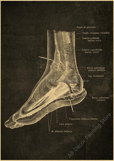 Nostalgic Posters Anatomy Chalkboard Poster Prints Body Parts Heart Hand Foot Drawing Vintage Home Room Art Wall Decor Painting June Wall Art