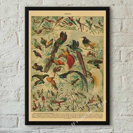 Botanical Art Prints Mushroom Retro Poster Animal/Flower/Plant/Leaf/Butterfly Study Painting Vintage Study Room Home Wall Decor June Wall Art