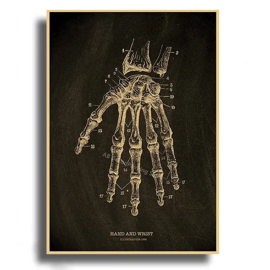 Heart/Skull/Brain Kraft Paper Poster Chalkboard Anatomical Skeleton Vintage Home Room Medicine Decor Medical Art Wall Painting June Wall Art