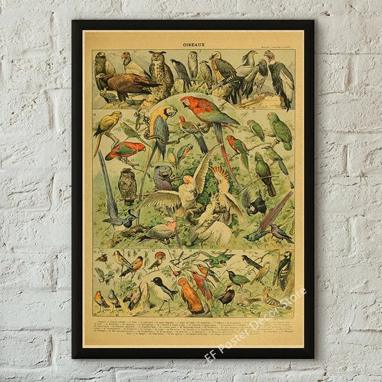 Botanical Art Prints Mushroom Retro Poster Animal/Flower/Plant/Leaf/Butterfly Study Painting Vintage Study Room Home Wall Decor June Wall Art