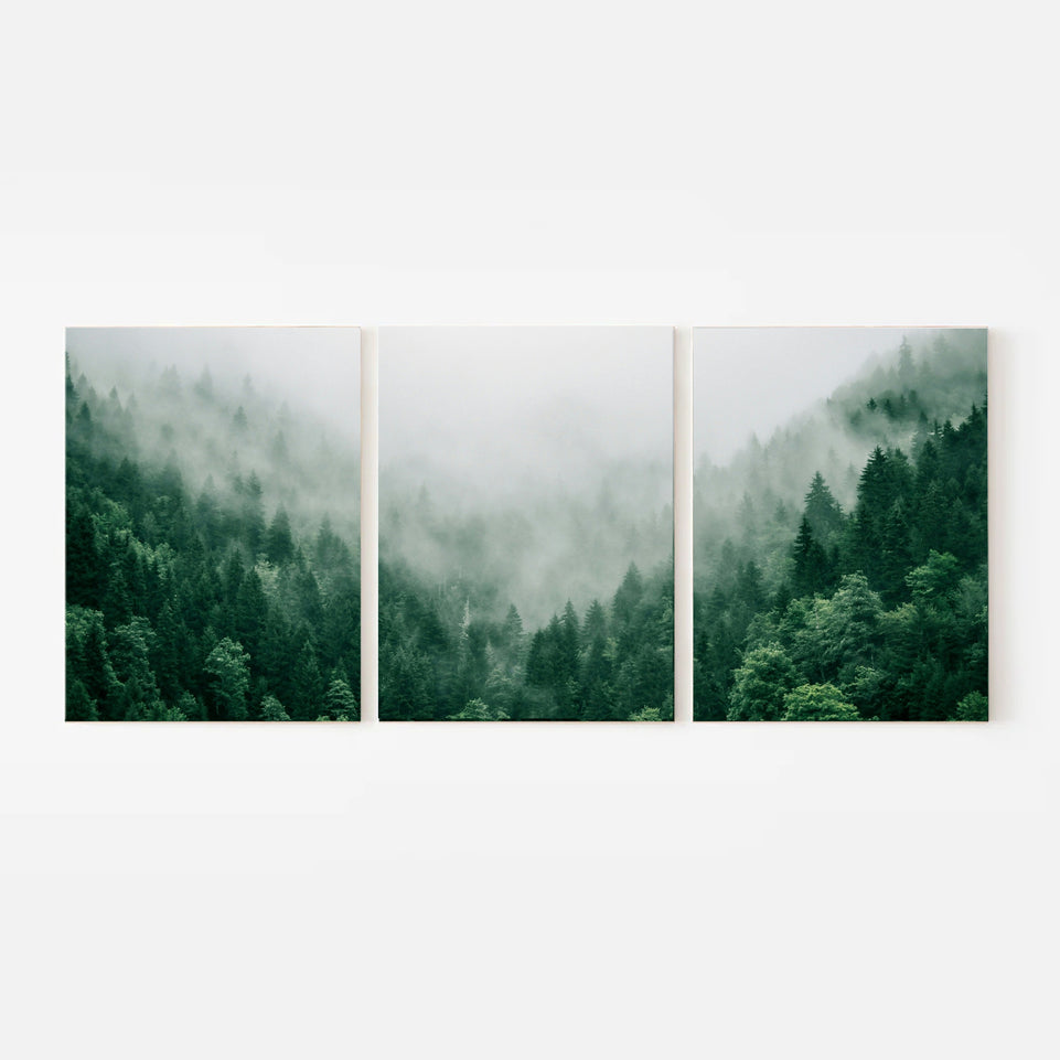 Misty Forest Triptych Canvas Print - Tranquil Greenery in Fog | Set of 3 Nature Wall Art for Calm Home Decor