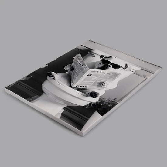 Deveosa Funny Bathroom Wall Art - Dog On Toilet Unique Cool Black And White Artwork For Restroom Paintings Animal Canvas Sings Decor Pictures Decorations 12x16inch https://www.amazon.com/dp/B0D1QJ3KZF